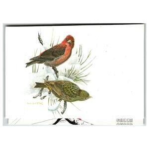Vintage Barry Kent Mackay '78 Bird Art Postcard - Finches in Snow BWD